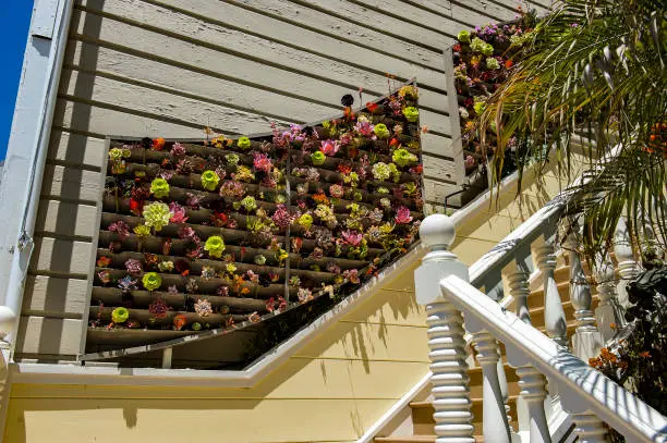 A unique vertical flower box in San Francisco's Pacific Heights neighborhood.