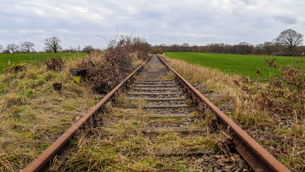 istock Multiple railroad tracks with junctions at a railway station in a perspective and birds view 1265658922