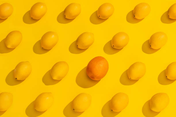 Studio shot of many lemons and one orange on a yellow background. A modern look with many conceptual interpertations.