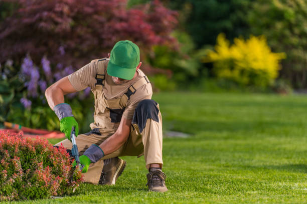 istock Worker Trimming Bushes In Residential Garden. 1265661140