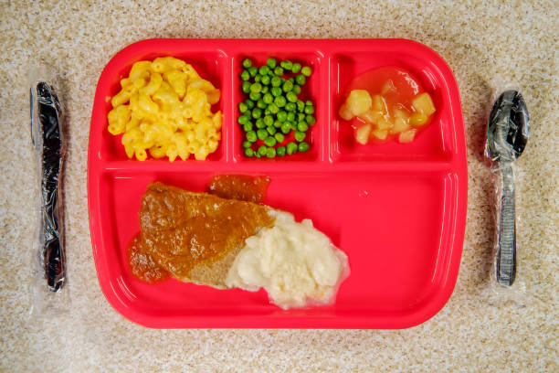 istock School Lunch Salisbury Steak 1265663648