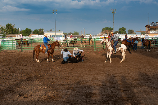 Fallon, Nevada - August 3, 2014: A team of cowboys on horseback and on footh roping a calf in a rodeo at the Churchill County Fairgrounds in the city of Fallon, in the State of Nevada.