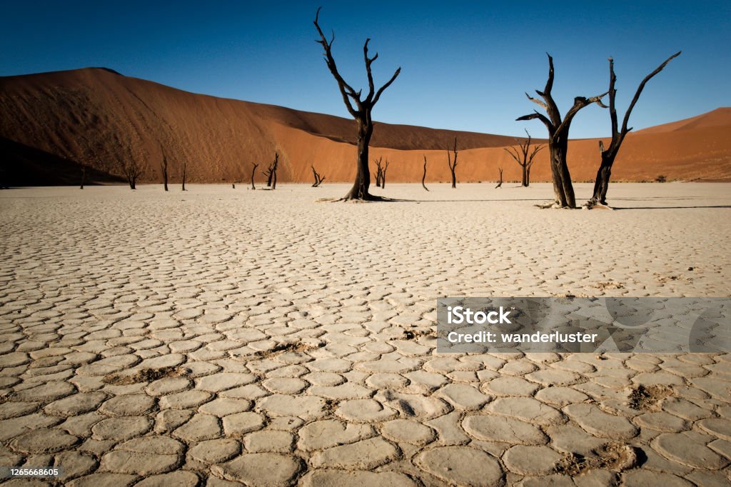 Sunset at Deadvlei Footprints in dried mudflats of an ancient river valley characterized by 700 year old camelthorn trees and giant orange sand dunes, Deadvlei, Namib Desert, Namibia, Africa Namib-Naukluft National Park Stock Photo