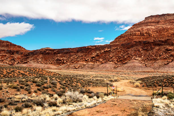 istock Beaten path and thick white clouds, AZ, USA 1265674052