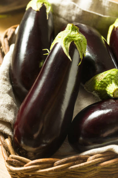 istock Raw Purple Organic Eggplants 1265674081