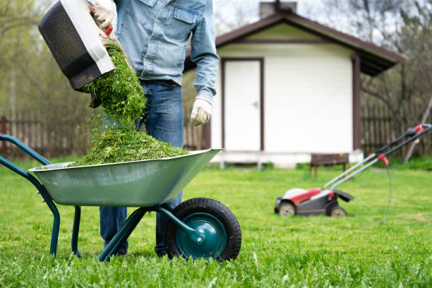 istock Pouring cut grass out of a lawnmower container into a wheelbarrow 1265675319