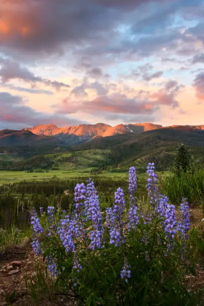 Continental Divide at Sunset near Winter Park Colorado