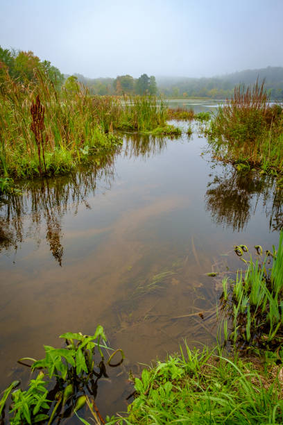 istock Autumn Lake Morning 1265680379