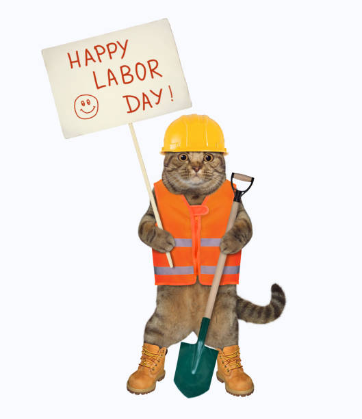 istock Cat with shovel holds sign 1265681970