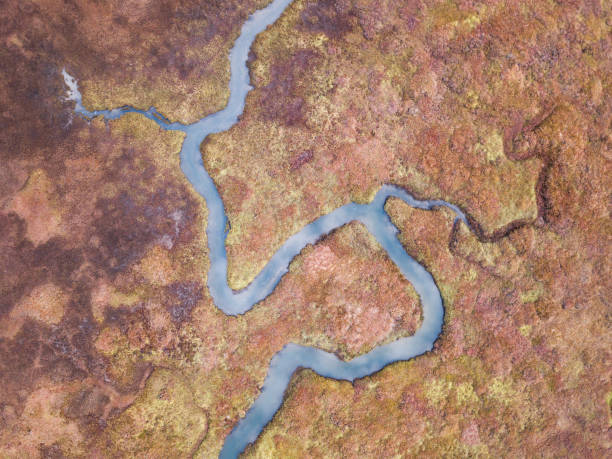 Meander Los Osos Creek works its way toward Morro Bay, as viewed from above. Los Osos, California, USA tidal inlet stock pictures, royalty-free photos & images