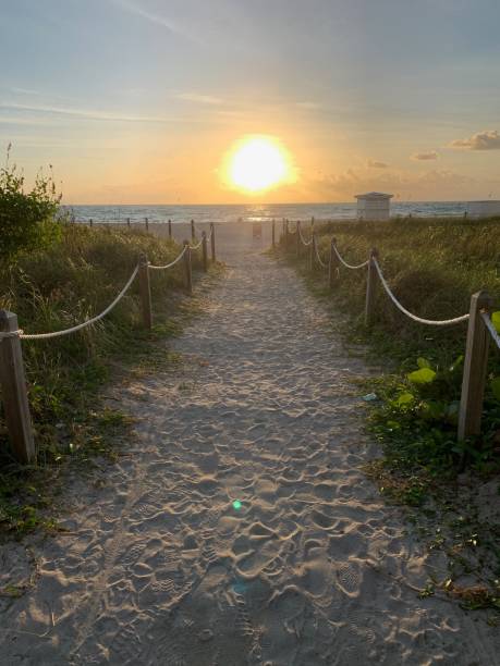 istock View of sunset beach horizon from sandy walkway 1265689185
