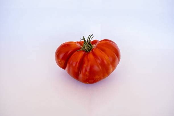 One Big Beefsteak Tomatoes on white board