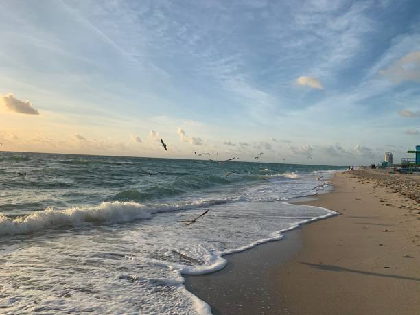 istock Landscape view seagulls flying over ocean shoreline at sunset 1265696525