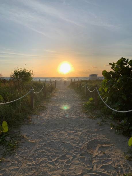 istock View of sunset beach horizon from sandy walkway 1265697067