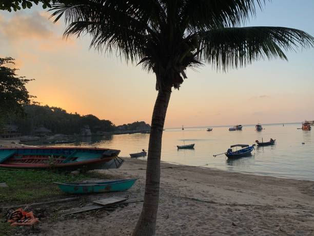 istock Backyard landscape view of boat beach coastline at sunset 1265698532