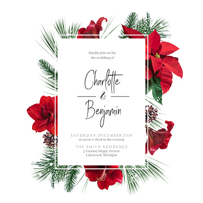 Emerald Christmas greenery, red poinsettia, amaryllis, spruce, fir vector design frame. Woodland simple style. Winter wedding or new year party invitation card. Watercolor style. Isolated and editable