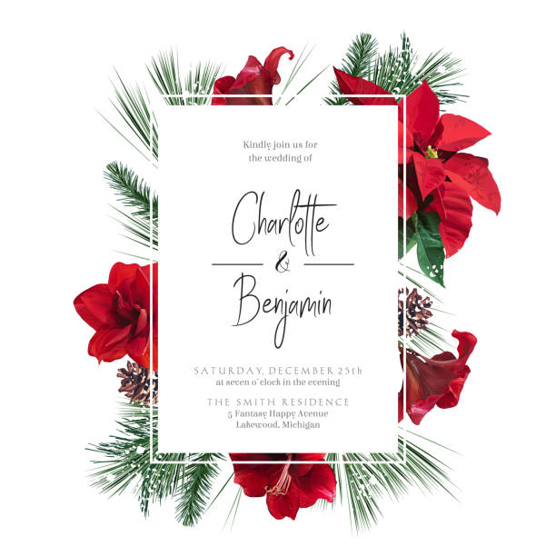 Emerald Christmas greenery, red poinsettia, amaryllis, spruce, fir vector design frame Emerald Christmas greenery, red poinsettia, amaryllis, spruce, fir vector design frame. Woodland simple style. Winter wedding or new year party invitation card. Watercolor style. Isolated and editable christmas stars stock illustrations