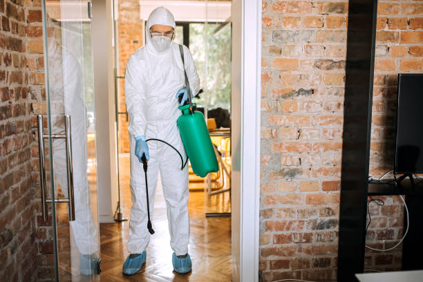 istock Office disinfection during COVID-19 pandemic 1265707639