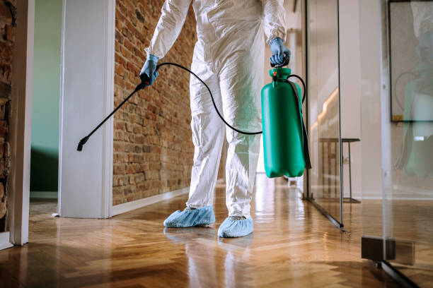 istock Disinfecting office during corona virus pandemic 1265711260