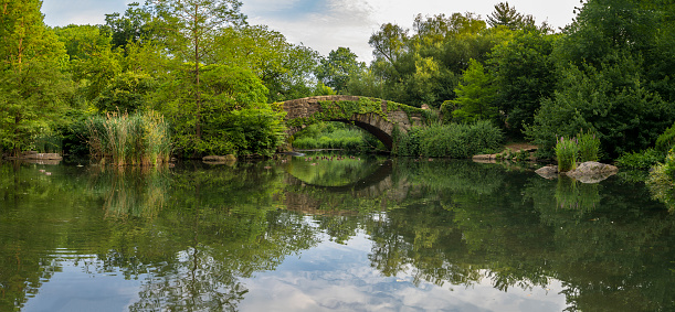 Gapstow Bridge in Central Park  in summer, early morning