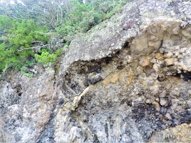 istock Japan. July. Natural geological pattern. Rocks at Izu peninsula. 1265720949