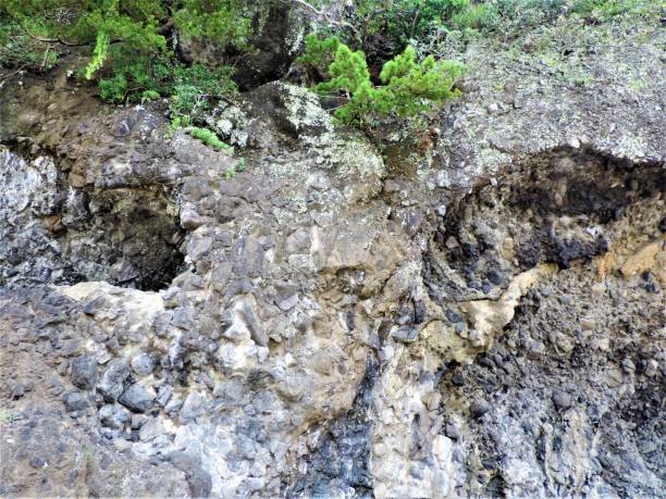 istock Japan. July. Cliff's eyes. Rocks at Izu peninsula. 1265720952