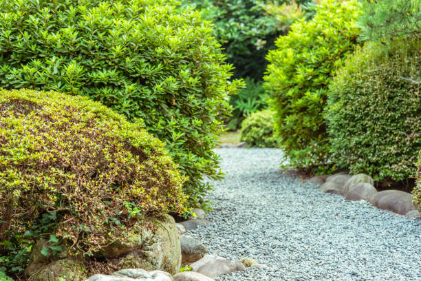 istock japanese garden 1265724068