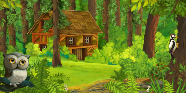 illustrations, cliparts, dessins animés et icônes de scène de dessin animé avec le hibou avec la maison de ferme en bois dans l’illustration de forêt - house rural scene field residential structure