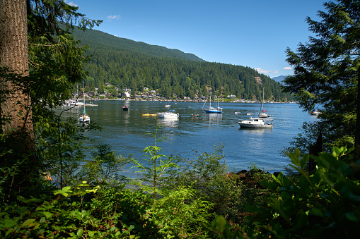 Kayaks and canoes on the water in Deep Cove, British Columbia.