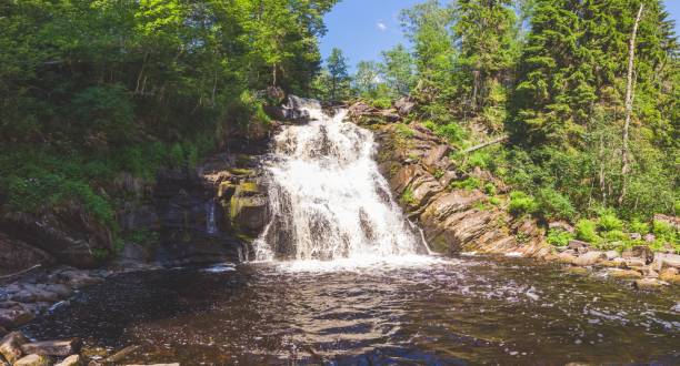 istock Waterfall in dense forest. mountain river. woodland creek. water flow with splashes 1265734097