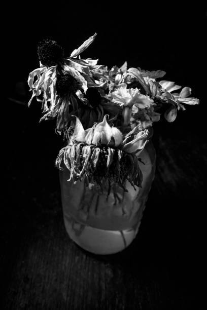 istock Wilted Flowers Mason Jar 1265734766