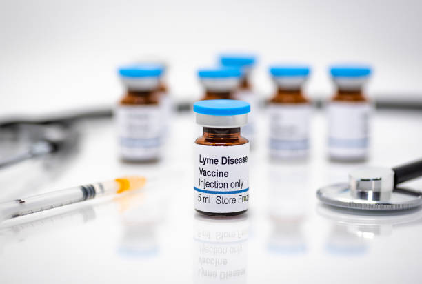 lyme disease vaccine vial with stethoscope - lyme disease imagens e fotografias de stock
