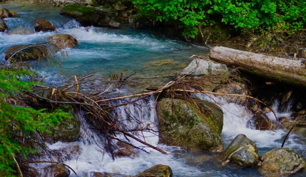 istock North Cascades Colonial Creek Pure 1265741331