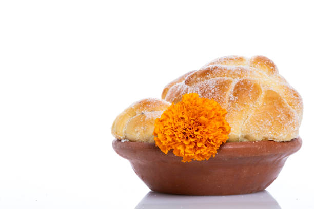 Conchas sweet bread traditional bakery of Mexico