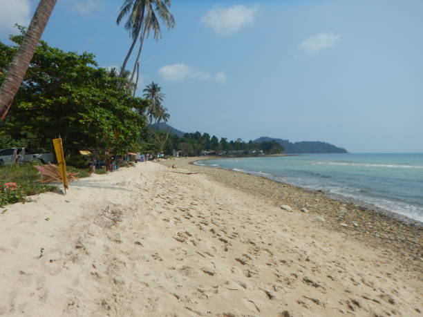 istock Lonely Beach in Koh Chang 1265755275