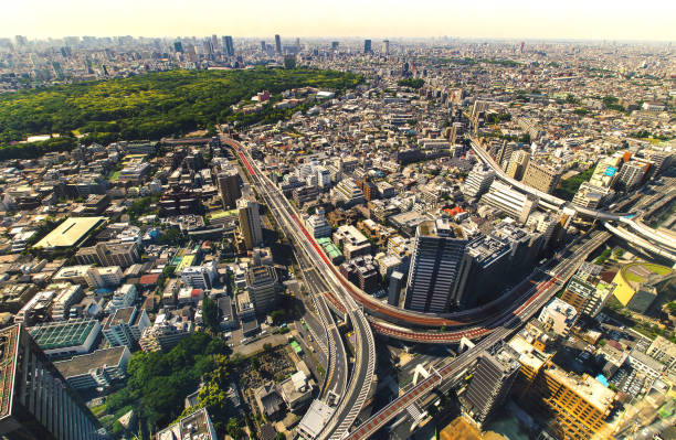 istock Tokyo cityscape aerial view 1265758379