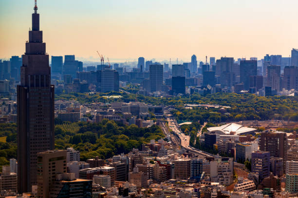 istock Tokyo cityscape aerial view 1265759977