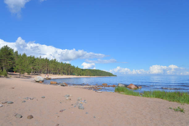 istock Coast of lake at sunny day. 1265808220