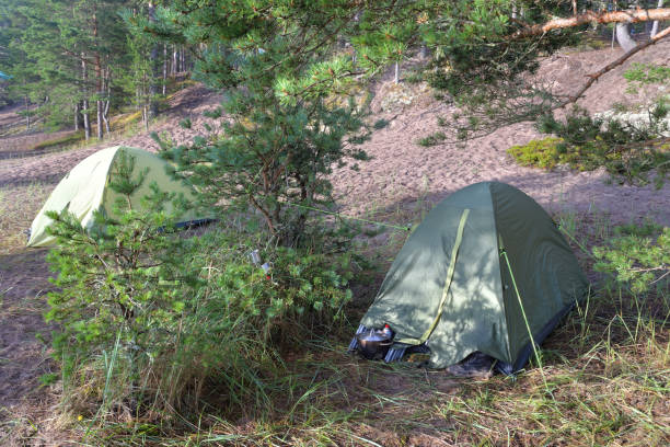 istock Camping tents in forest. 1265808296