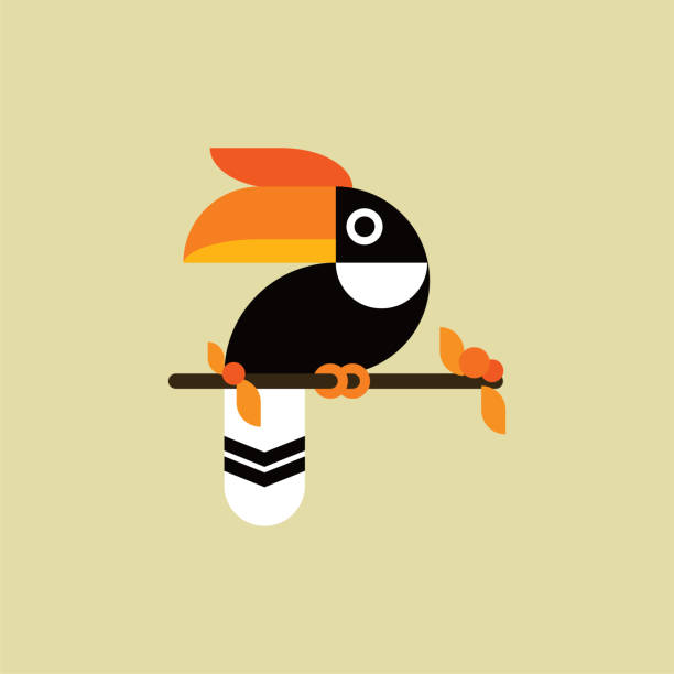 ilustrações, clipart, desenhos animados e ícones de vetor do pássaro tucano hornbill. selvagem. animais. ilustração vetorial. design plano - bucerotidae