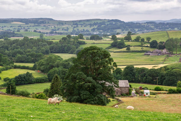 istock The farms in Lake District 1265842608