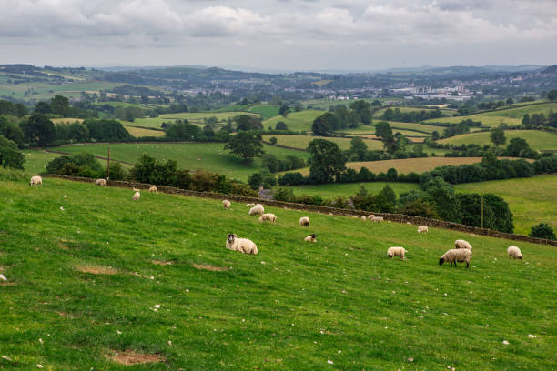 istock The farms in Lake District 1265845182