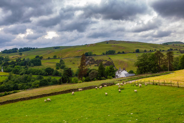 istock The farms in Lake District 1265846774