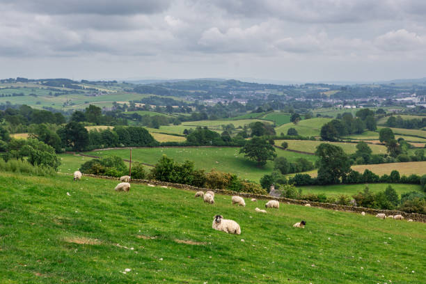 istock The farms in Lake District 1265846970