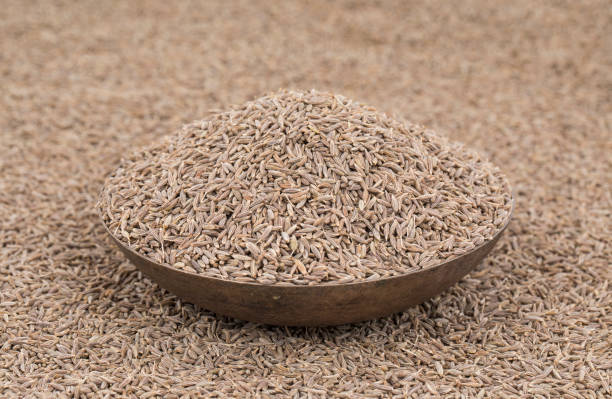 istock Pile of Dried Cumin Seeds 1265855100
