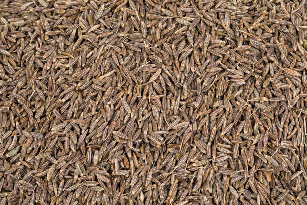 istock Pile of Dried Cumin Seeds 1265859785