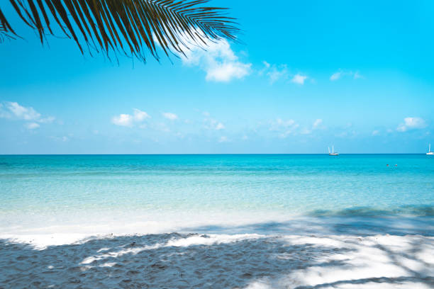 istock Clear water on the island,Bright blue sea 1265879844