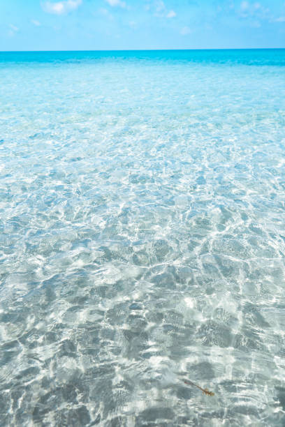 istock Clear water on the island,Bright blue sea 1265882016