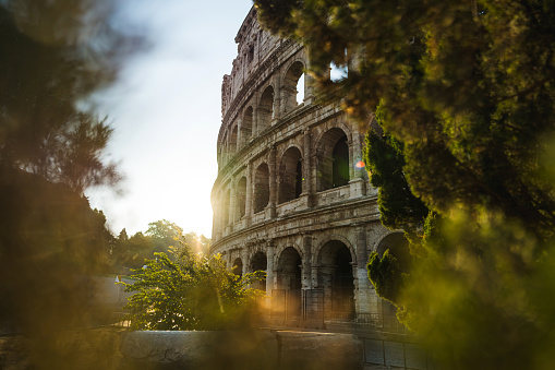 The Coliseum icon of Rome in a  summer warm dawn: vacations in Italy