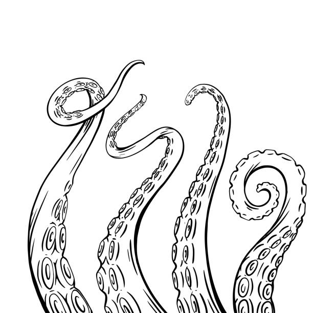 satz von schwarz und weiß skizziert oktopus tentakel. gruselige gliedmaßen von meeresbewohnern. vector-objekt - octopus tentacle isolated white stock-grafiken, -clipart, -cartoons und -symbole